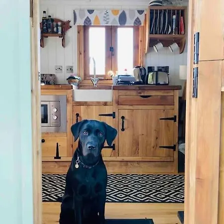 Semesterbostad The Hideaway Shepherd's Hut, Alston, Cumbria *