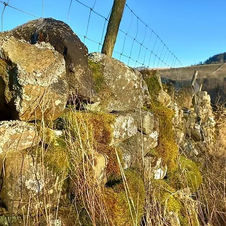 The Hideaway Shepherd's Hut, Alston, Cumbria Carlisle (Cumbria)