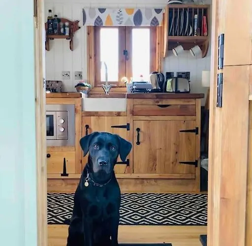 Casa de Férias The Hideaway Shepherd's Hut, Alston, Cumbria *