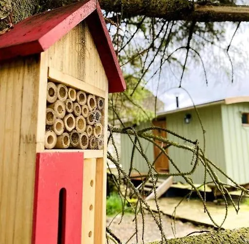 The Hideaway Shepherd's Hut, Alston, Cumbria *