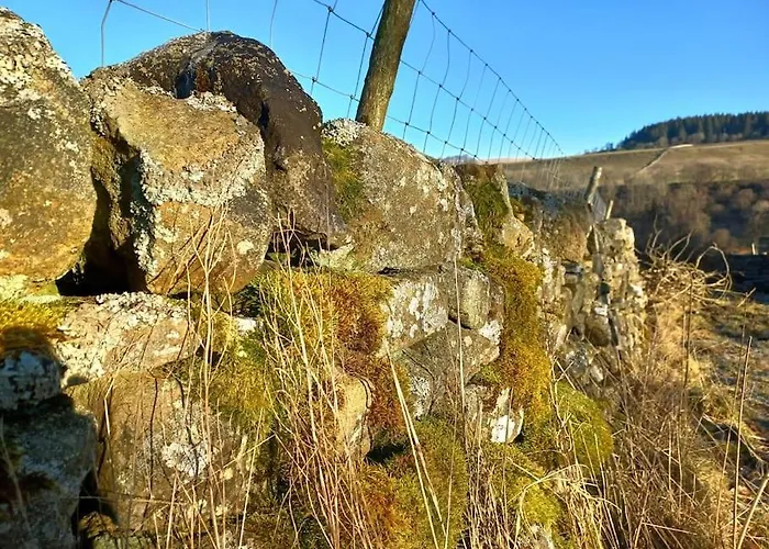 The Hideaway Shepherd's Hut, Alston, Cumbria Carlisle (Cumbria)